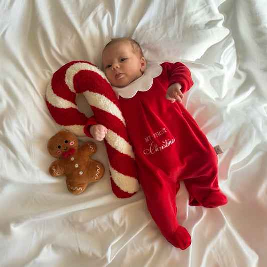 Tutina in ciniglia natalizia